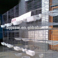 Alibaba Hot Sale Metal Racing Pigeon Loft Design
